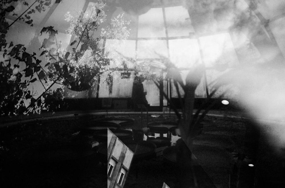 The Futuristic Garden