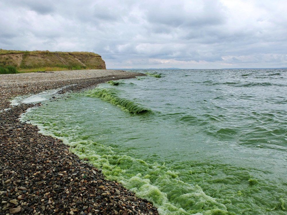Мир ещё в наших руках.... Зелёная Волга