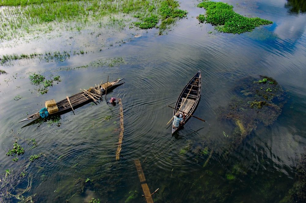 জল ও জীবন