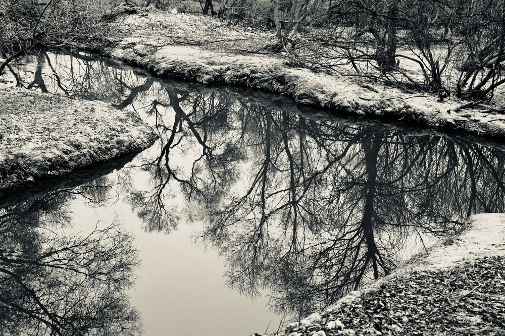 осенняя графика