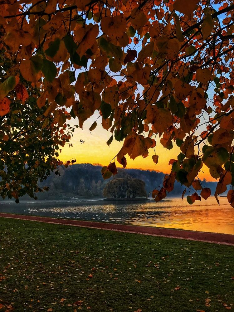 Photograph by Яна Лугинина