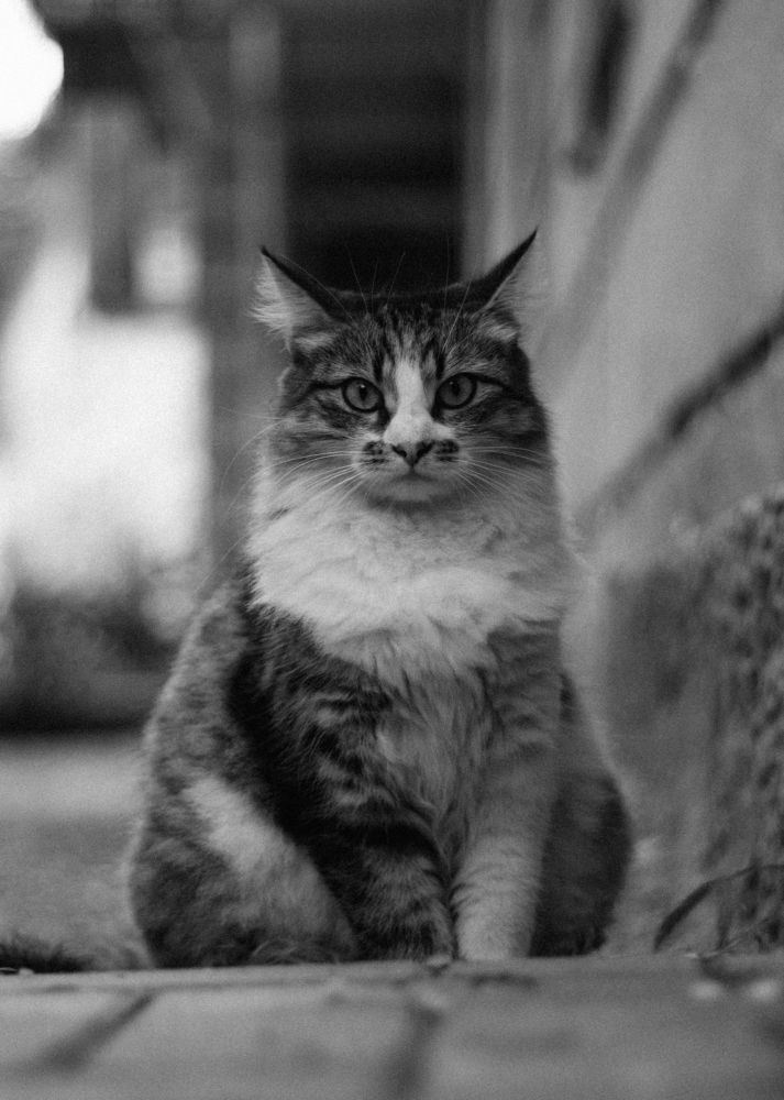 Photograph by Станислав Косматулин