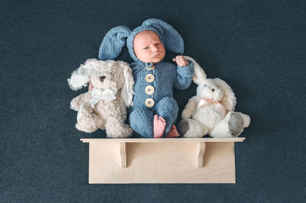 Зайцы на полочке