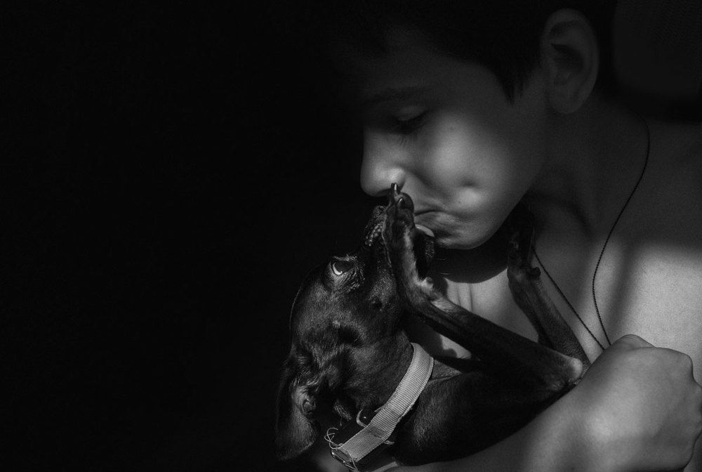 Мой друг по кличке "Мальчик"