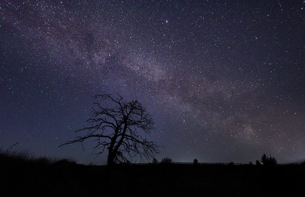 Звездная майская ночь!