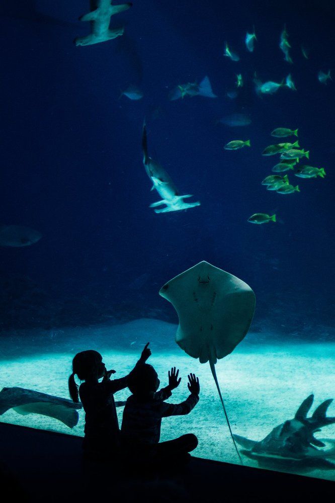 touching the universe