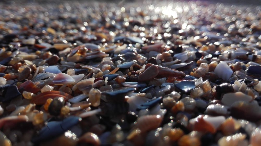 Прибитые волной