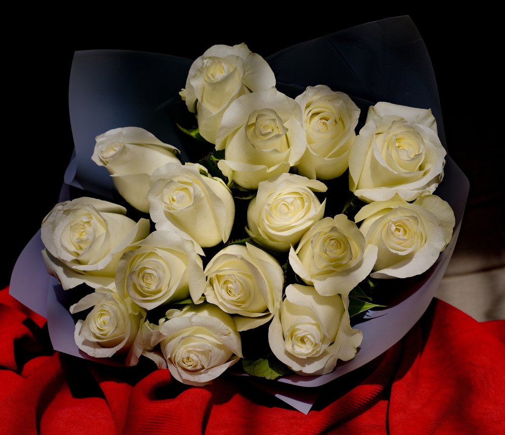 Photograph by Adil Kuandykov