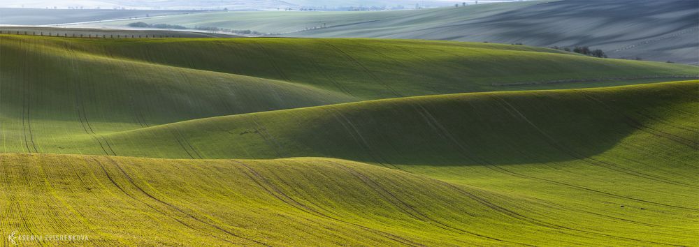Зеленое одеяло Земли