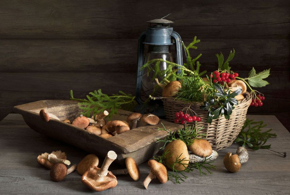 Грибное лето