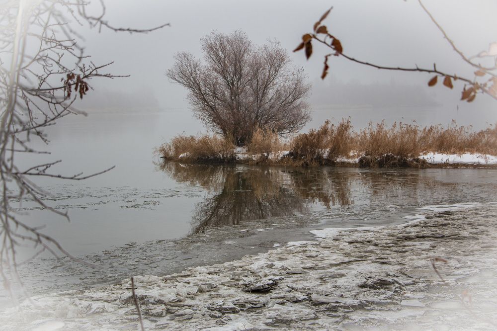 Дон батюшка...