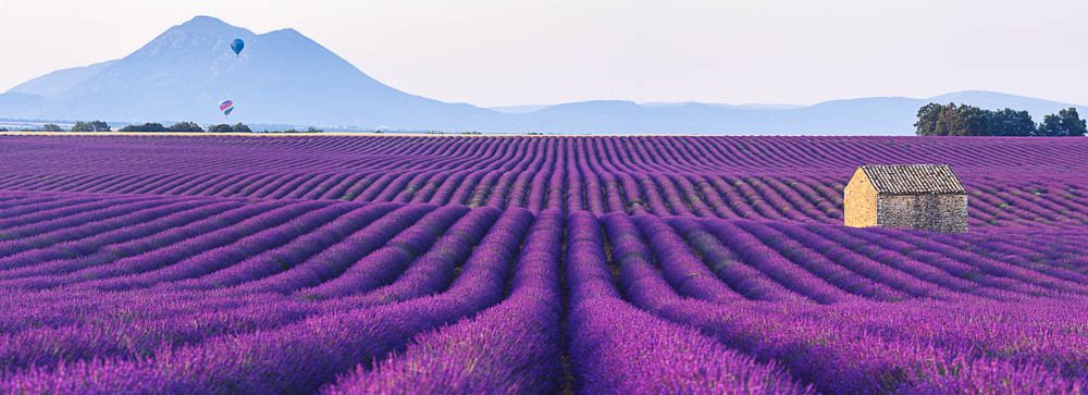 Благоухание Прованса