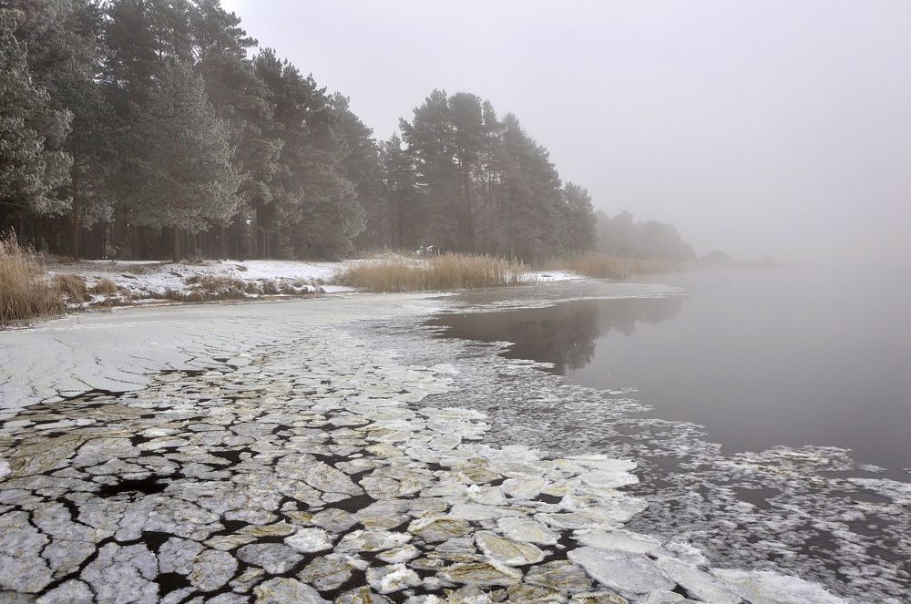 В самом начале зимы