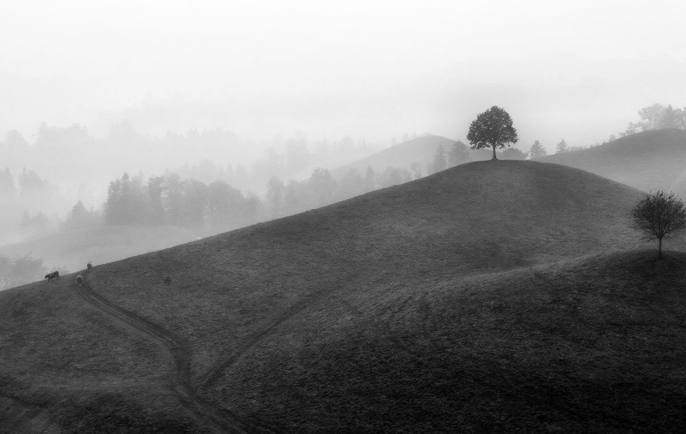 На холмах Швейцарии
