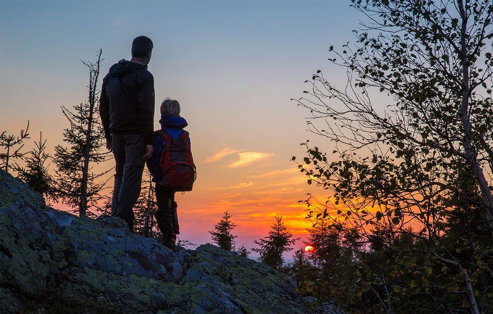 Заповедной тропой.