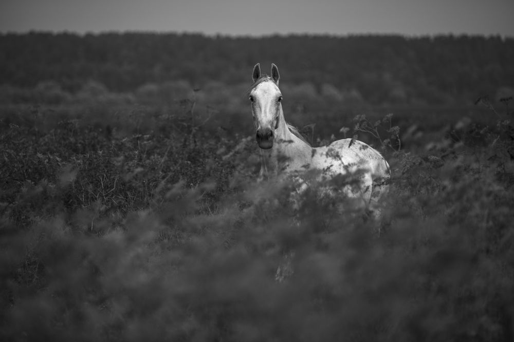в одиночестве
