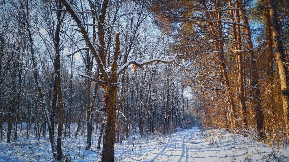 Зимнее настроение
