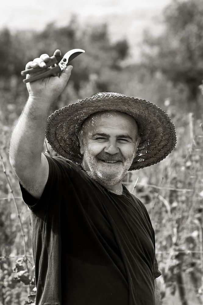 Добрый виноградарь