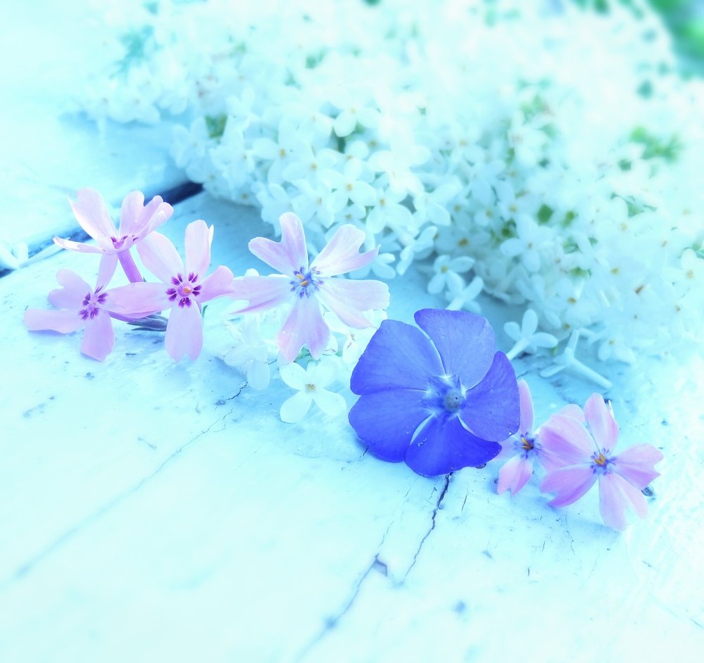 Photograph by Стефанова Татьяна