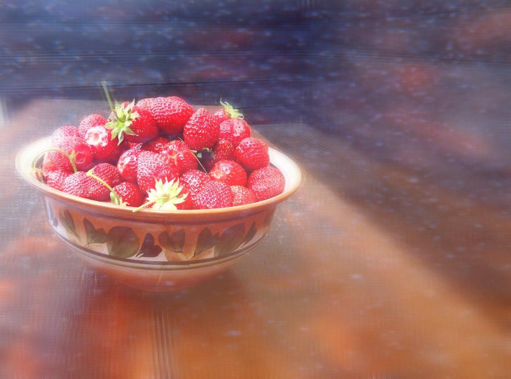 Photograph by Стефанова Татьяна