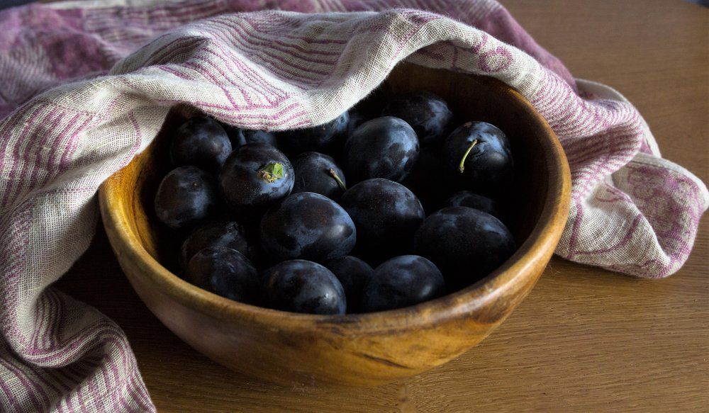 Photograph by Anna Novak