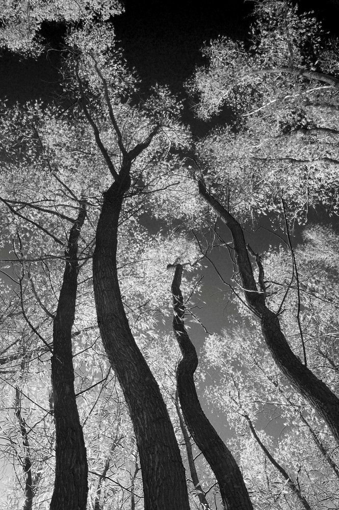 Уходящие в небо...