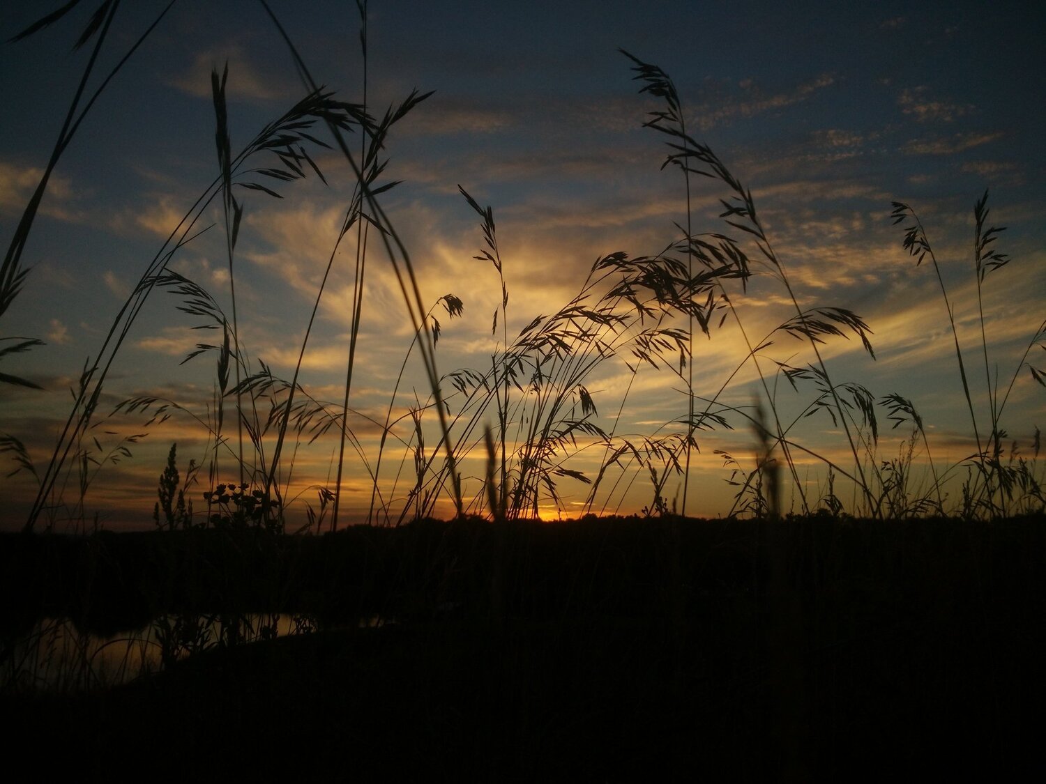 Photo #2723432