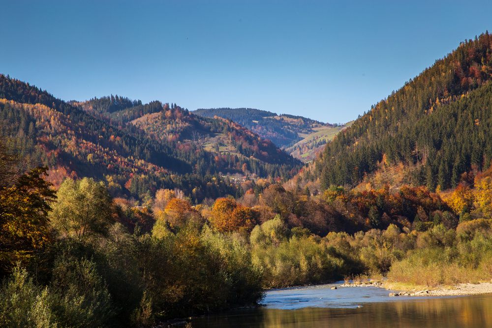 Photograph by Юлия Карась