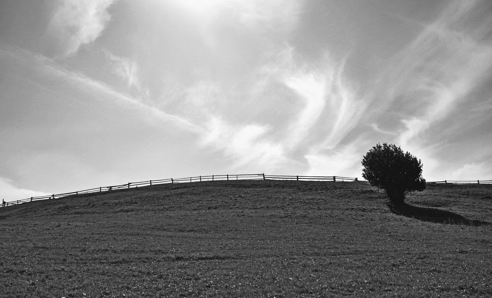 Черно-белый пейзаж