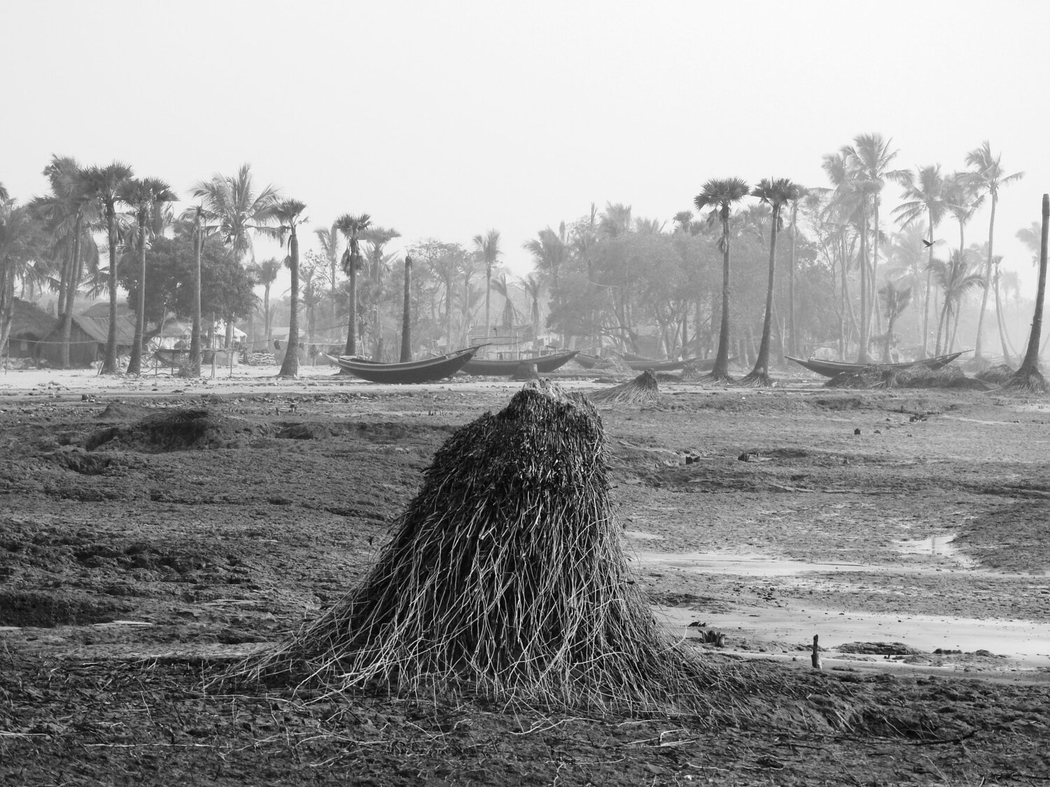 With the soil