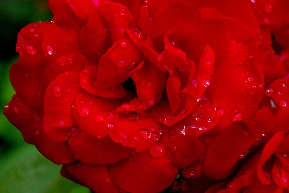 после дождя