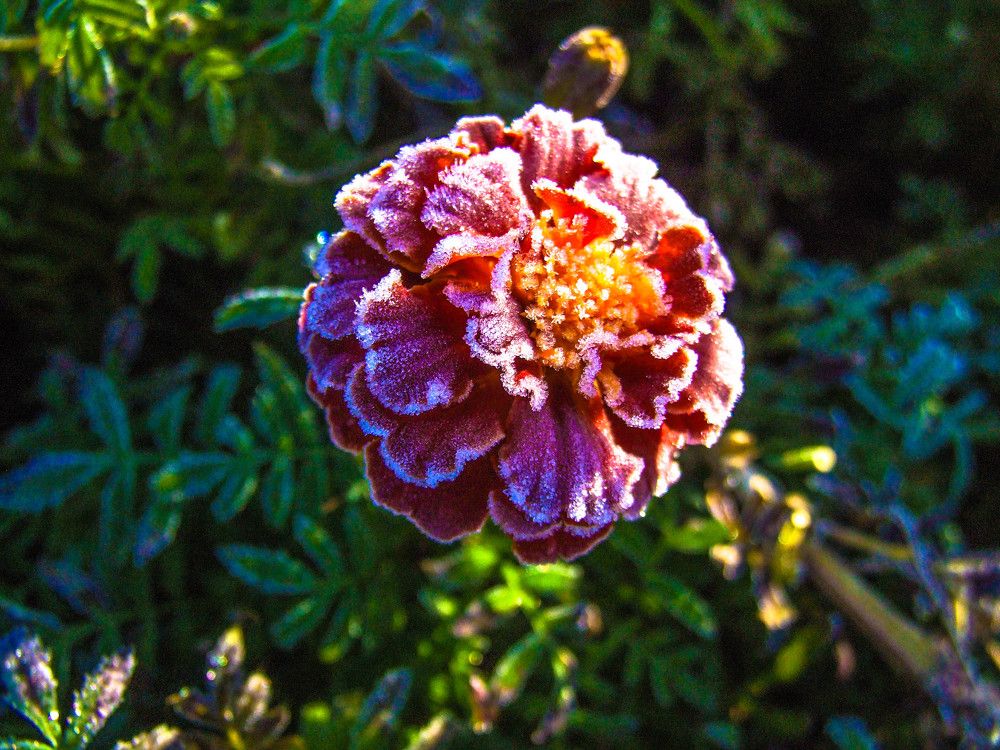 похолодало