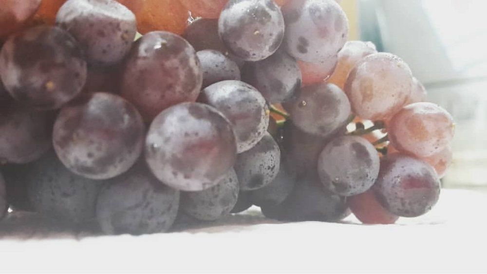 Grapes