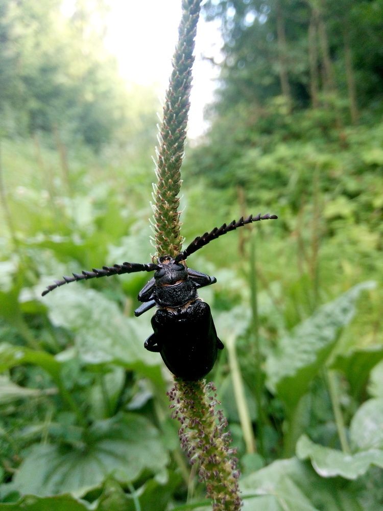 Photograph by Олексій Долинний