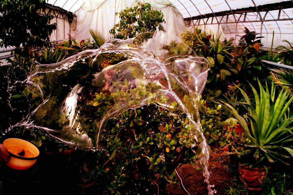 Цветочный натюрморт