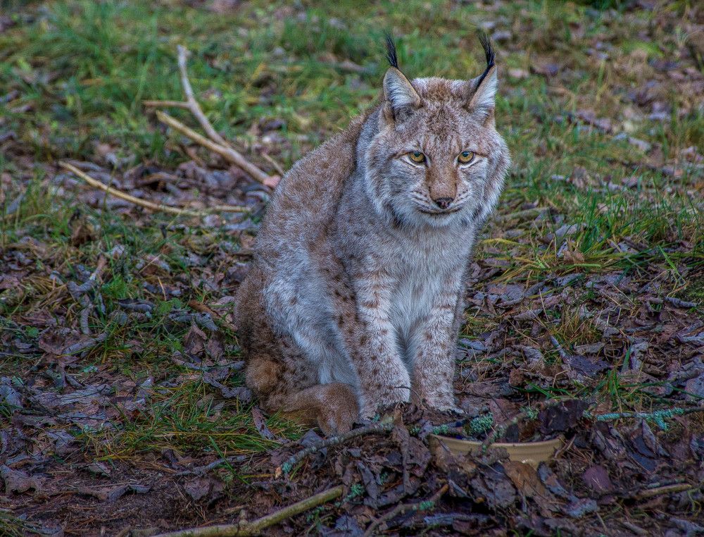 Я тут немного посижу!