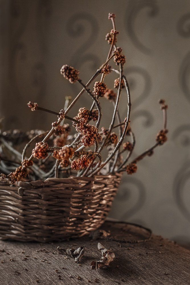 Photograph by Захаркова Екатерина