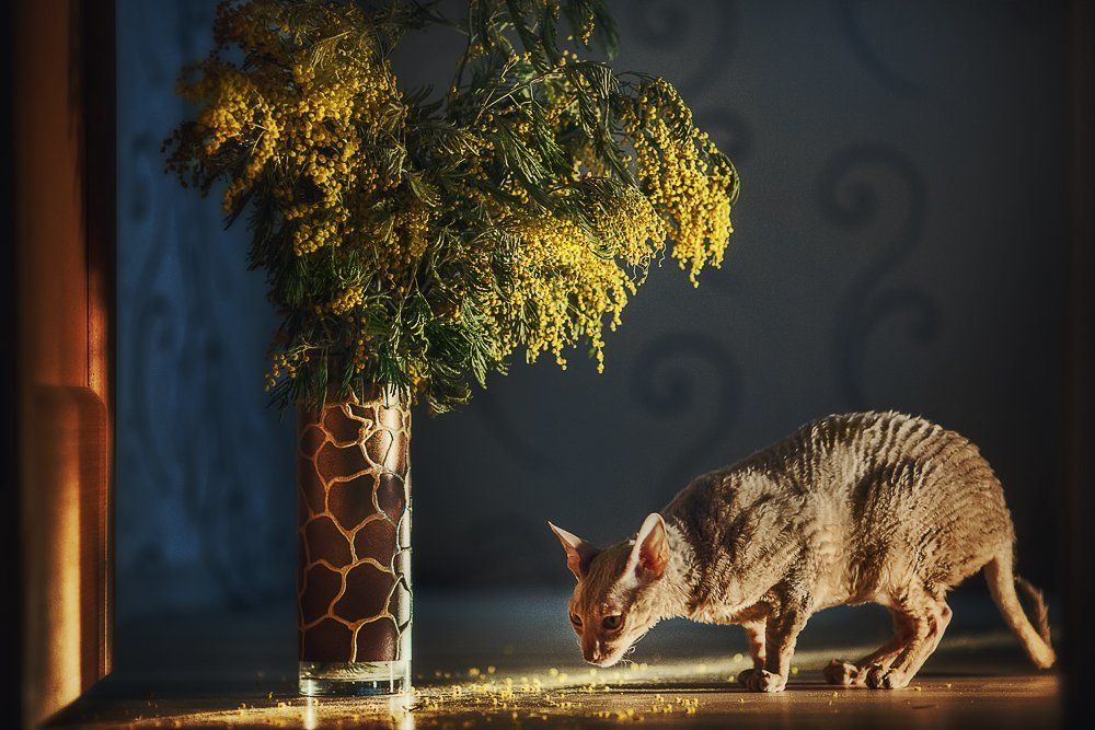 Photograph by Захаркова Екатерина