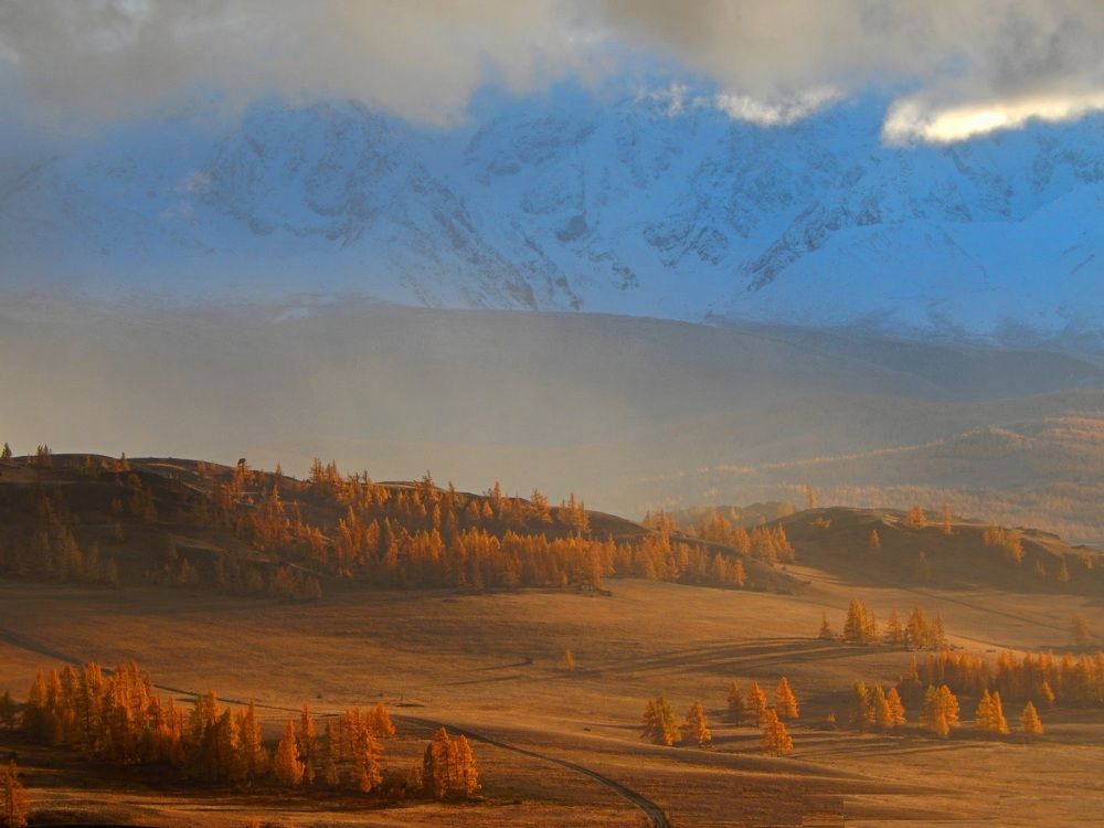 Photograph by Анастасия