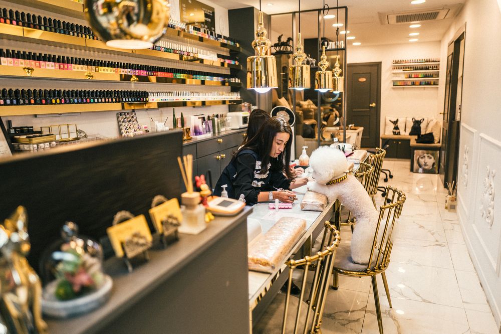 Человек собаке друг