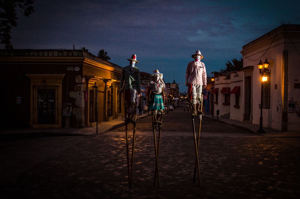 Zancudos de Zaachila