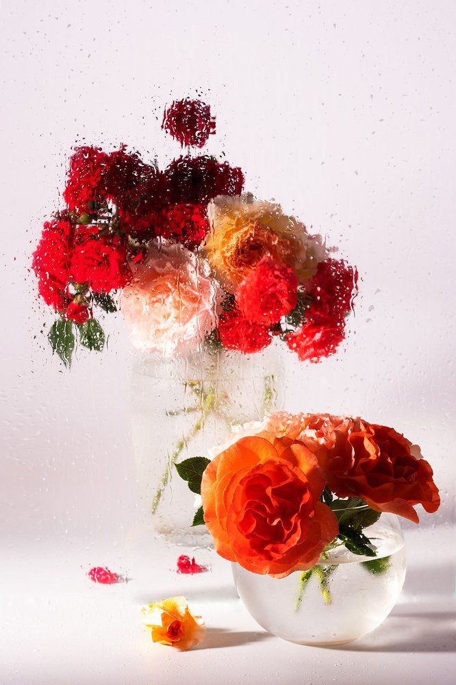 Дождь за стеклом