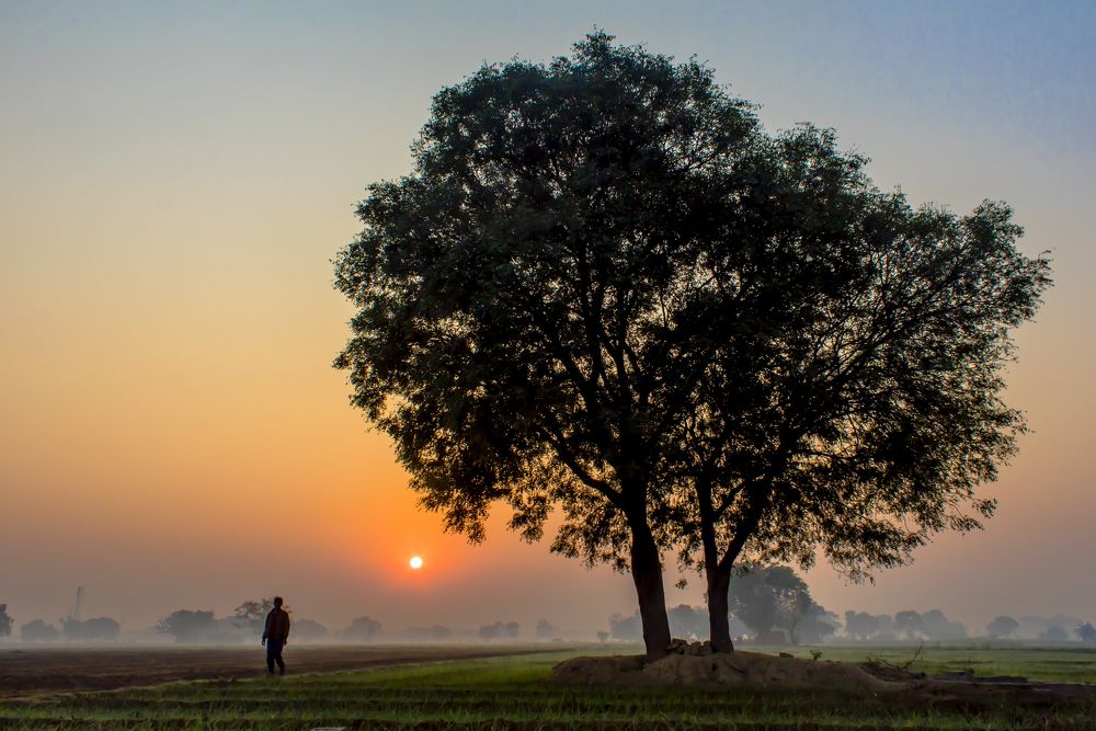 A Winter's Morning