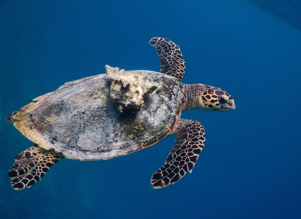 Бесценный опыт прожитых лет