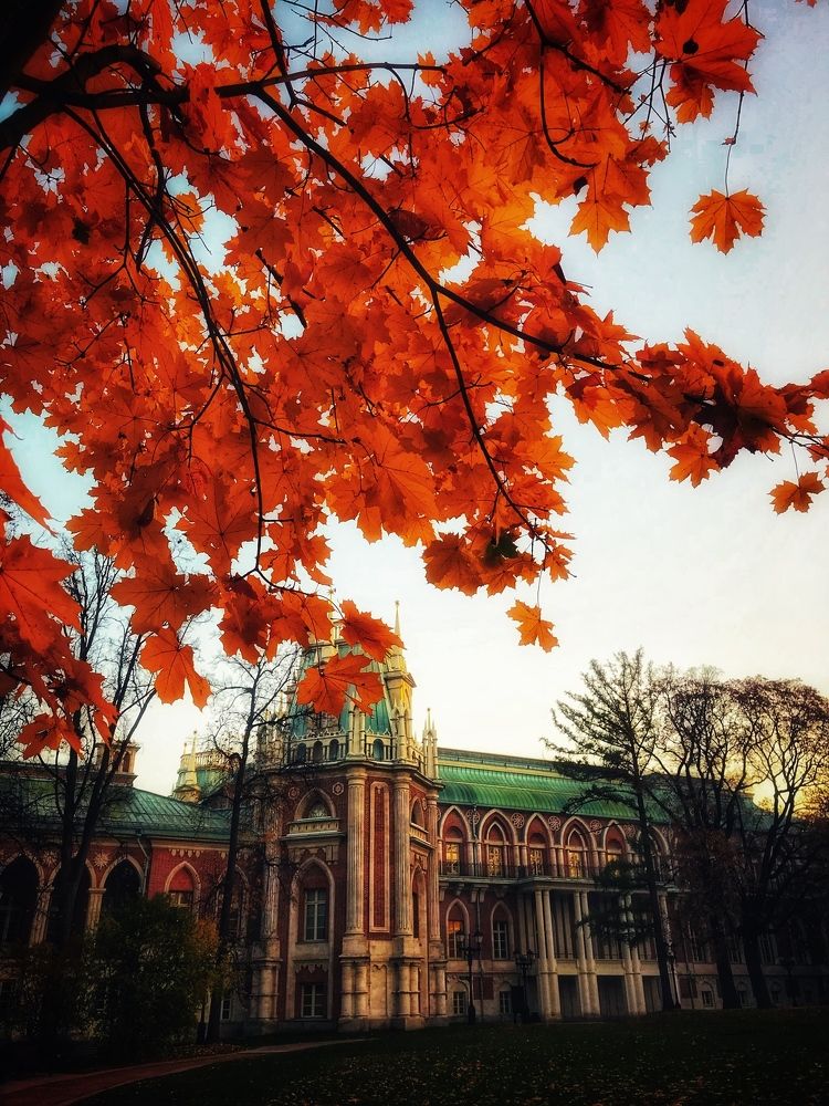 Photograph by Яна Лугинина