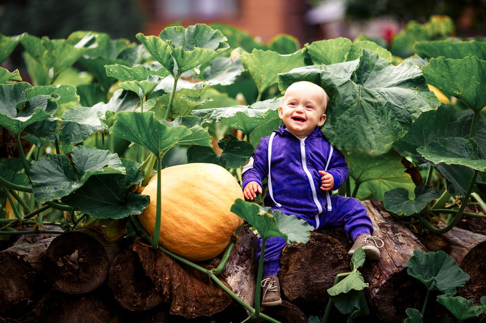 Моя тыковка.