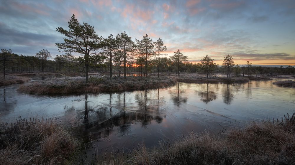 Морозное утро