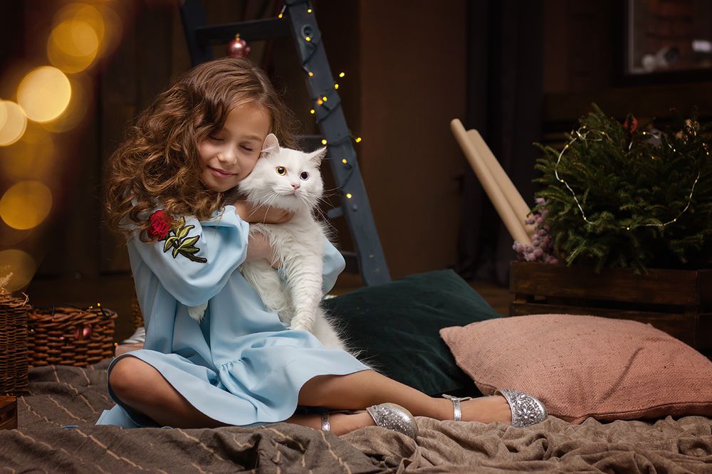 Дружба бесценна