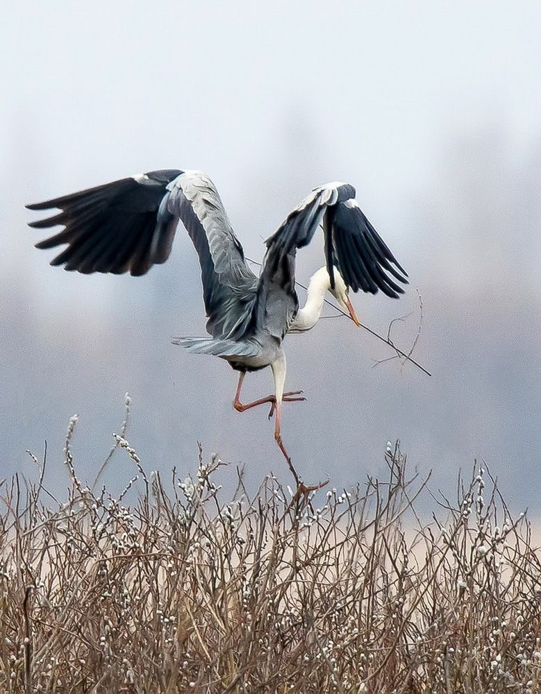 Строительные хлопоты