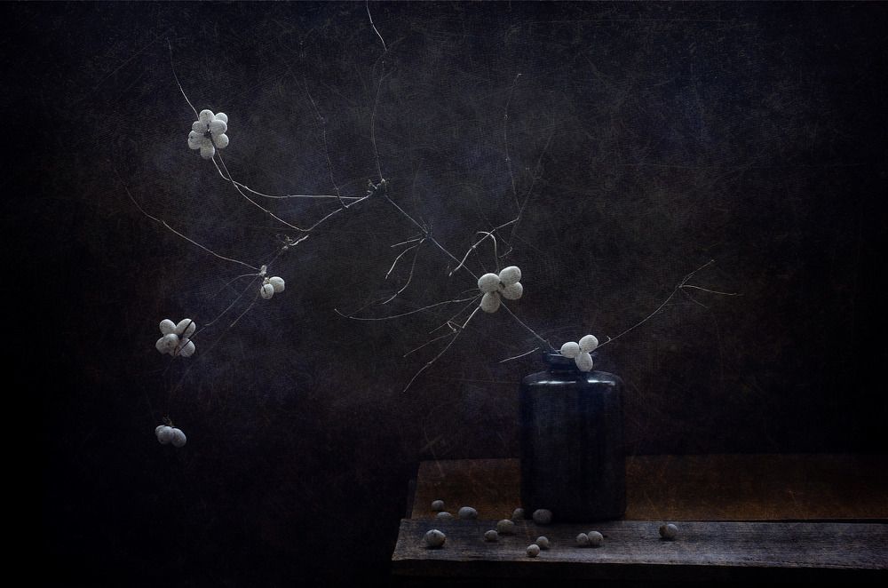 "Снежноягодник"